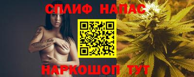 дживик Бийск