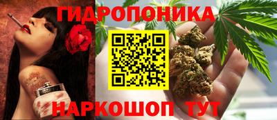 дживик Бийск
