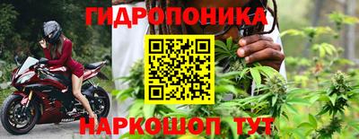 шишки Берёзовский