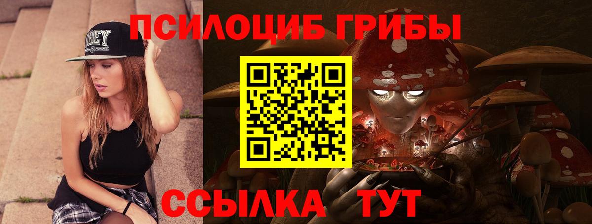 Галлюциногенные грибы MAGIC MUSHROOMS  Псилоцибиновые грибы Psilocybe  Кирово-Чепецк  Вход с VPN 