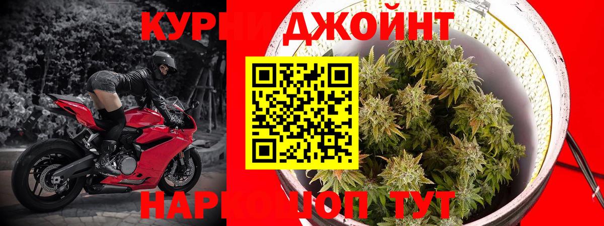 Шишки марихуана VHQ  Вход с VPN  МАРИХУАНА ГИДРОПОН  Канабис конопля  Кирово-Чепецк  Бошки Шишки конопля 